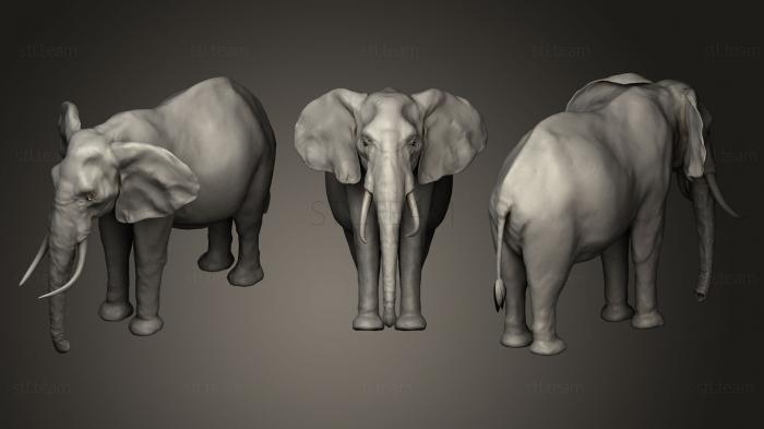 Статуэтки животных Африканский слон 2